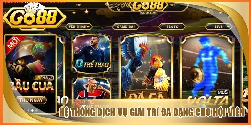Hệ thống dịch vụ giải trí đa dạng dành cho hội viên