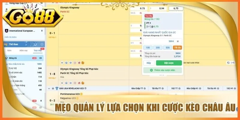 Mẹo quản lý lựa chọn khi cược kèo châu âu